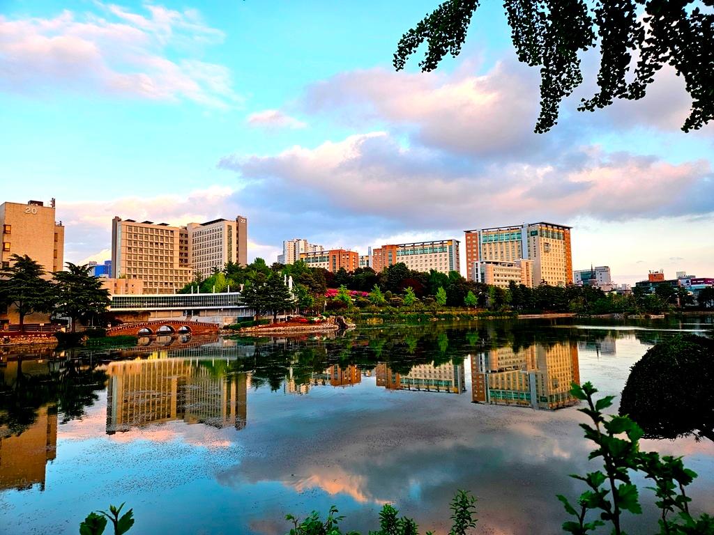 Campus in the Late Spring Afternoon 대표이미지